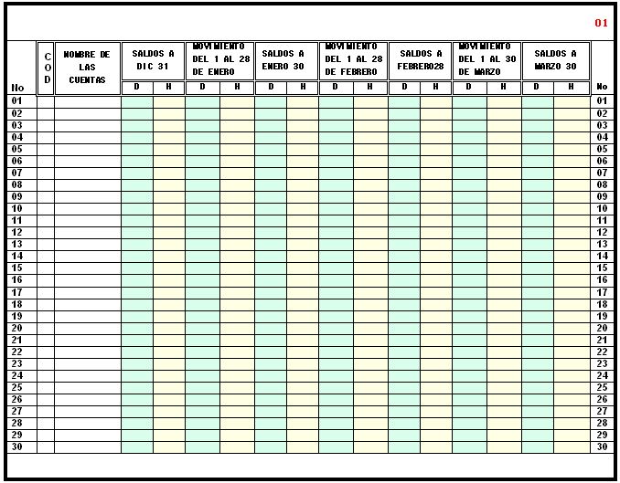 Cuentas de libro diario, mayores y balance